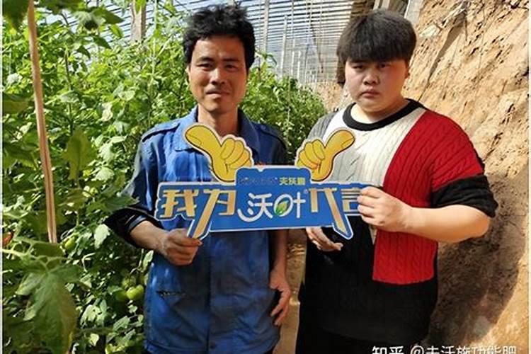 种植辣椒施肥用钾肥好还是尿素好