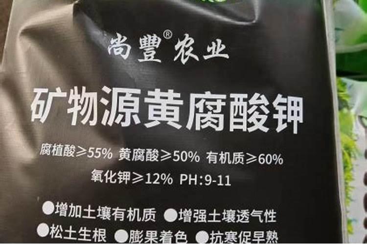 北瓜怎么管理结的瓜多