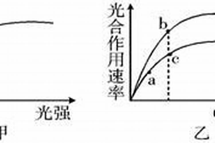 缺少必要的微量元素会得病,因此有人认为应尽可能多吃含有这些元素的营养...
