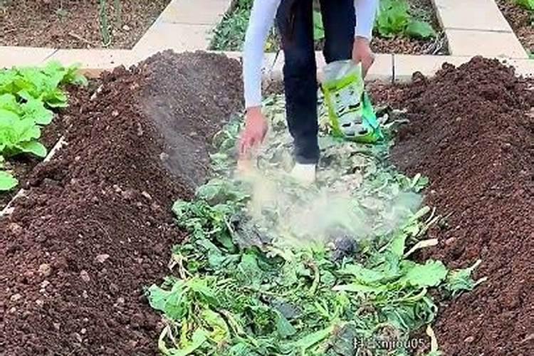 种菜如何肥土