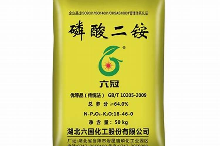 黑麦草夏天需要浇水吗