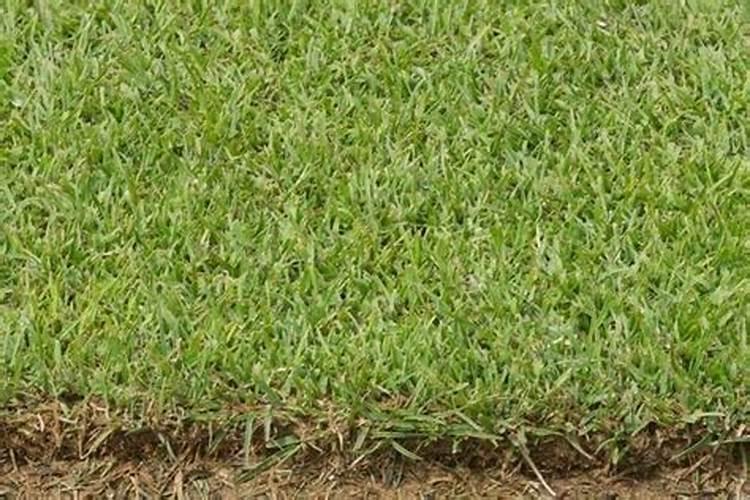 黄腐酸钾过量使用危害 如何正确使用