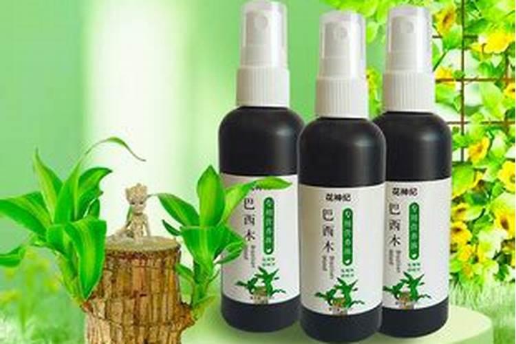 一帆风顺花水养怎么施肥