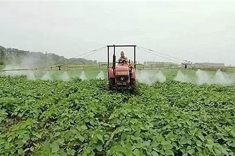 大豆喷施啥叶面肥最好