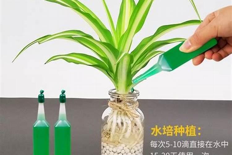 什么肥是氮肥  几种氮肥的区别