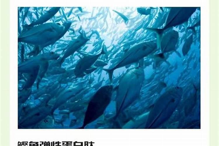 烟草助燃剂有哪些