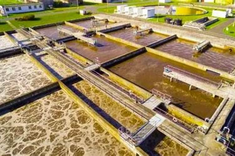 大豆需要施肥吗