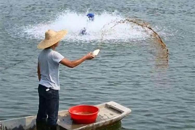 水中养殖花草施什么肥料比较合适