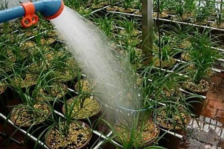 矿源黄腐酸钾和腐植酸的区别