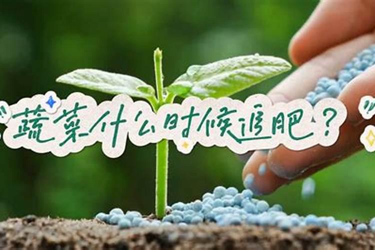 给韭菜施肥用什么牌子的有机肥最好