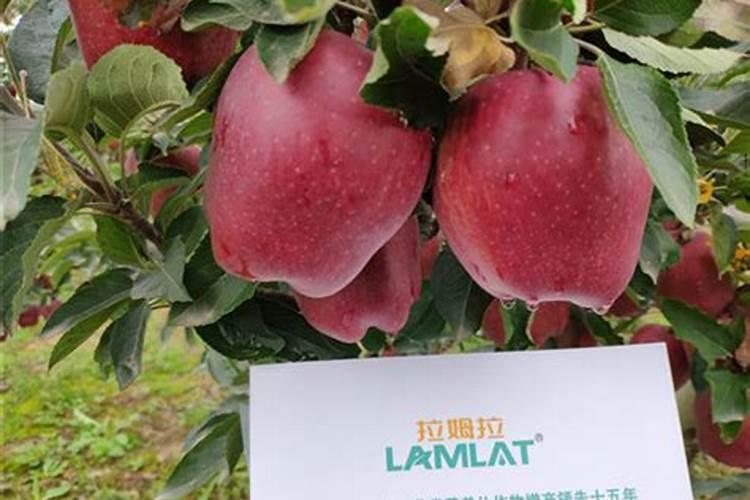 氨基酸钙水溶肥的功效