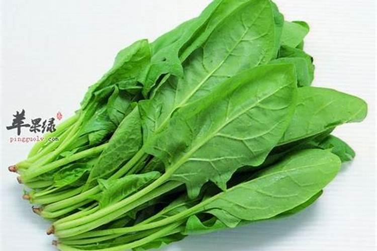 买花肥到哪里、买花送的肥料怎么用