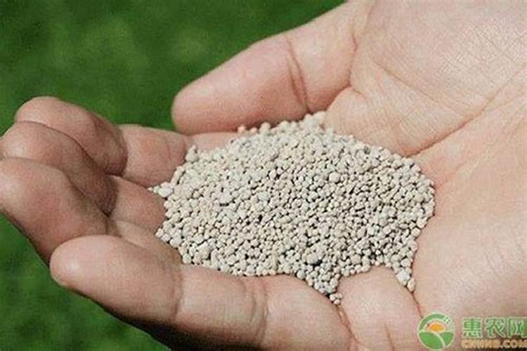 钾肥的作用