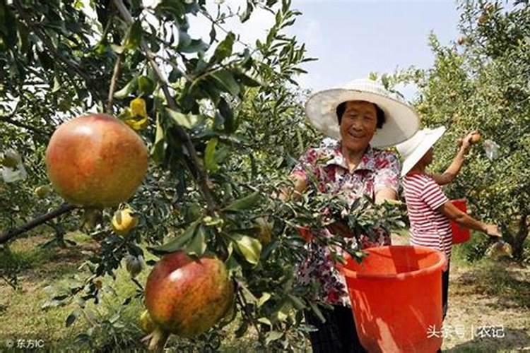 2.7g某铵态氮肥(不含硝酸根)与过量氢氧化钙混合后加热,将放出的氨气...