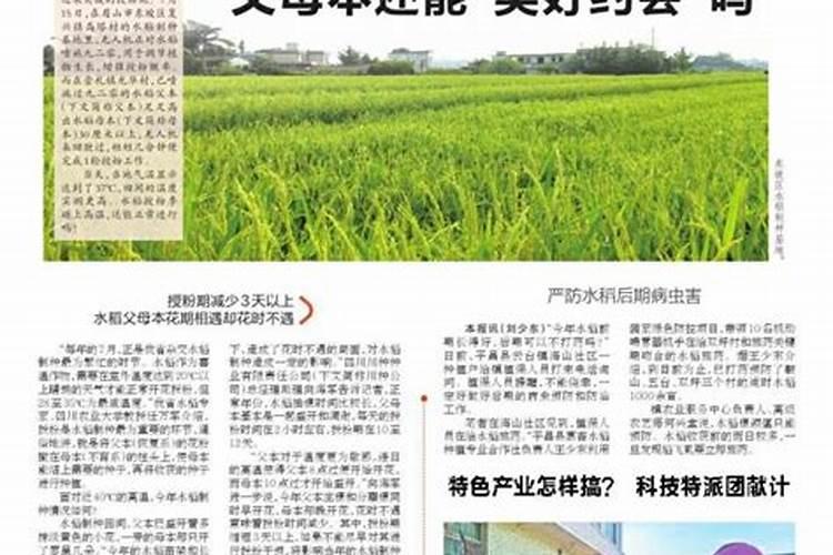 叶面肥什么时候打合适