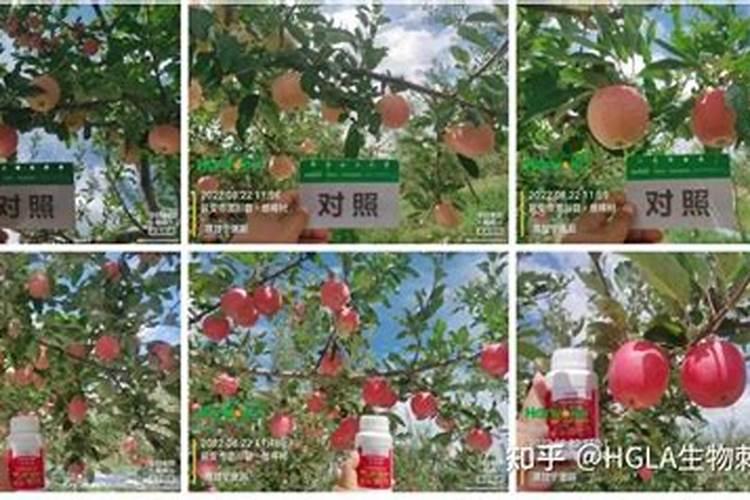 喂肥料神器哪个好用