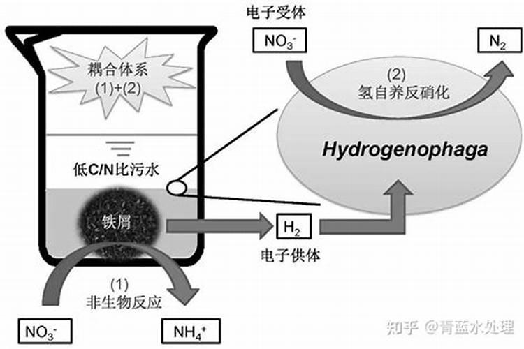 含硫氮肥对作物起什么作用