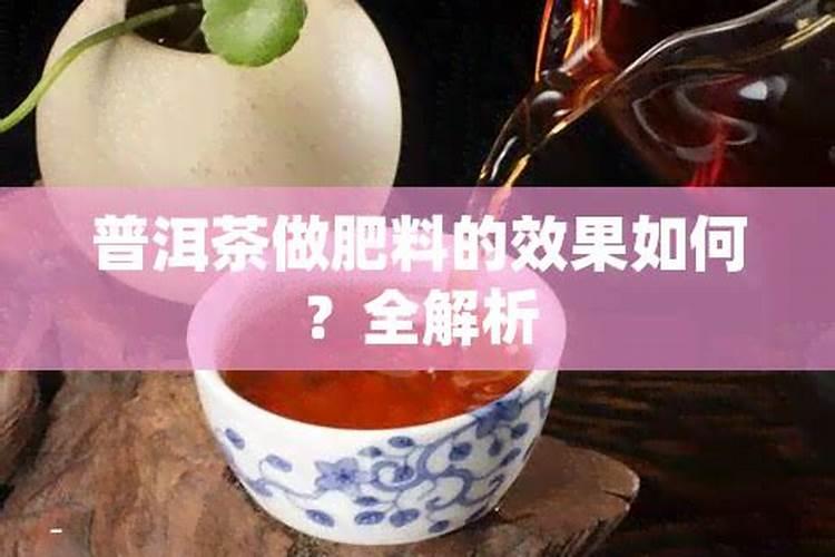 普洱茶晒青与烘青的区别