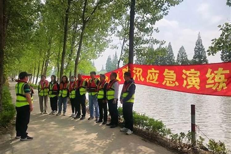 蔬菜根系弱长得慢怎么办？3招帮你培强根系,轻松获高产!