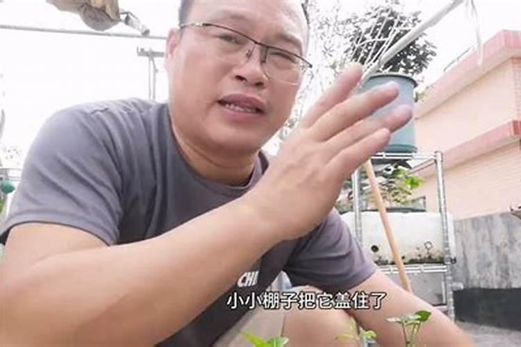 水溶肥能撒施后浇水吗