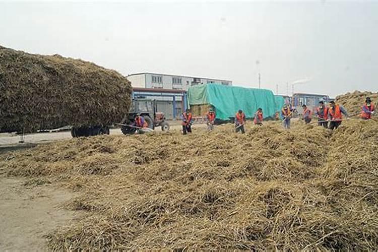 土豆喜欢什么肥料