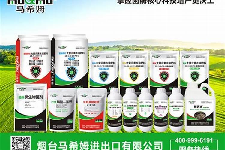 求温室设施冬枣疮痂病防治技术。