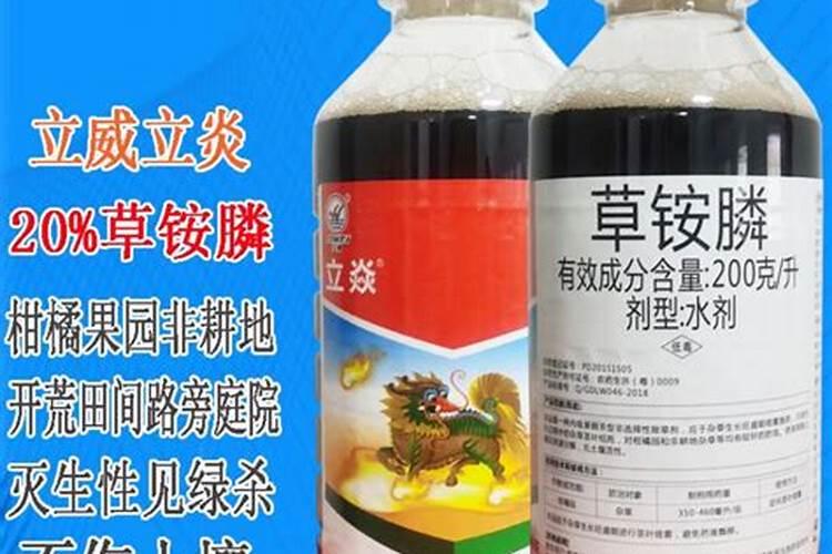 如何在几天内长出香菜？如何又快又好地种植香菜？