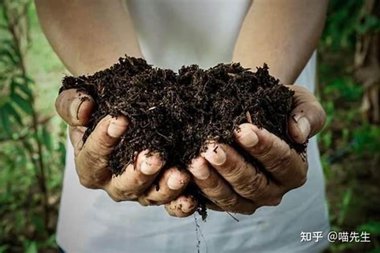 养殖中说的碳肥是什么