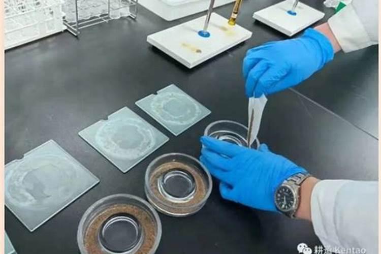 肥料检测标准有哪些标准？