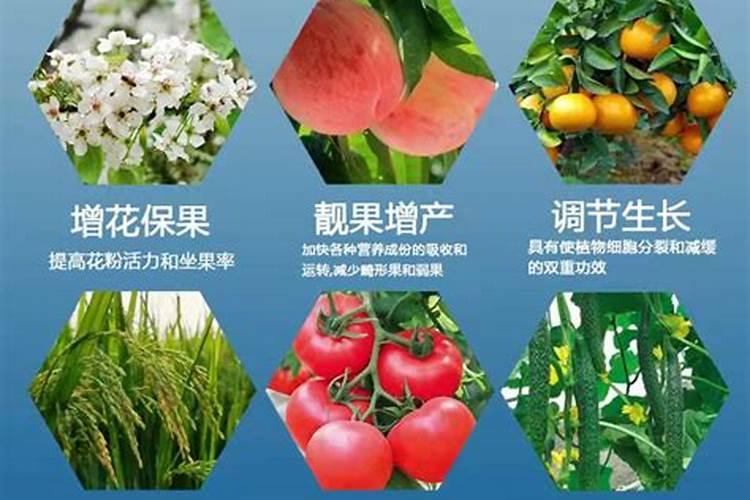 如何判别化肥的肥效好坏 怎样判别化肥的肥效好坏