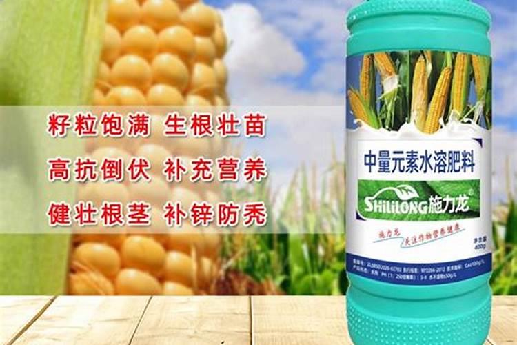 玉米上喷什么叶面肥提高产量