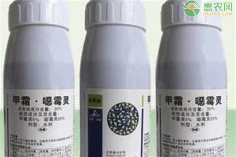 西红柿怎样打叶子最合理