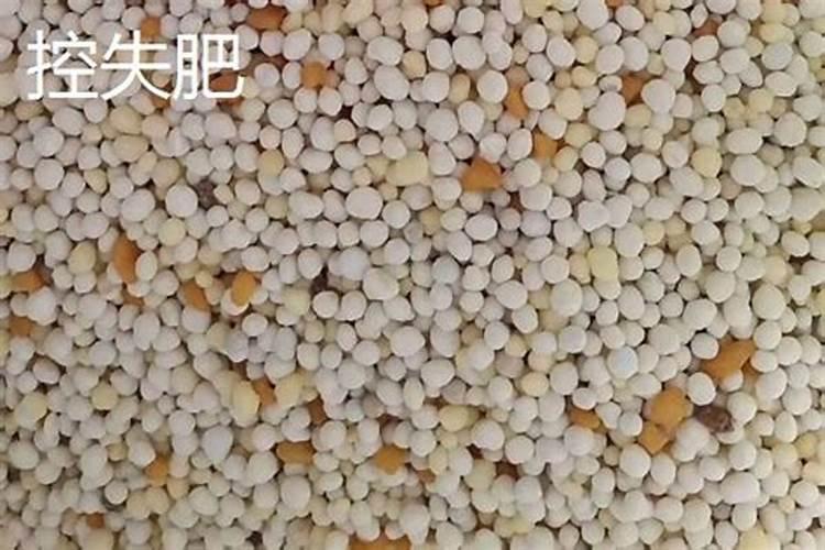 控释肥和控失肥有什么区别