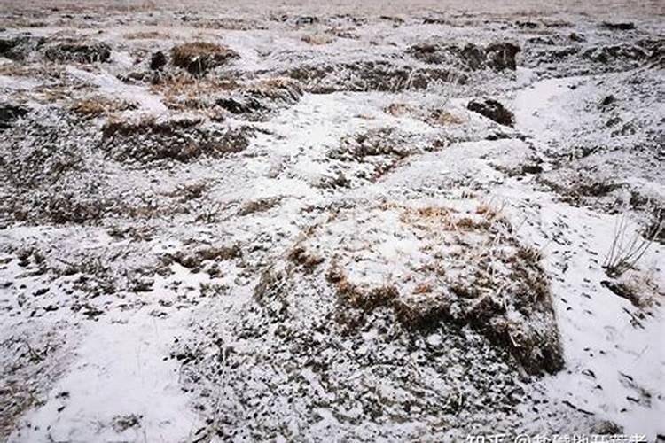 盐碱地水稻怎样施用磷钾肥？