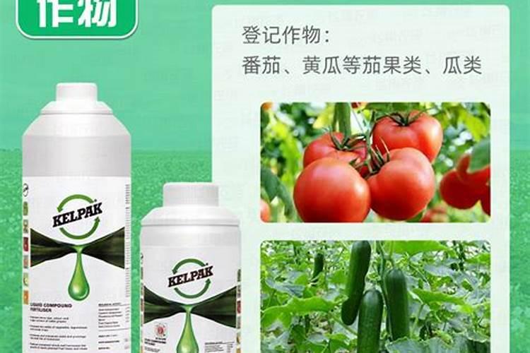 石星沟里有哪些丰富的物产？