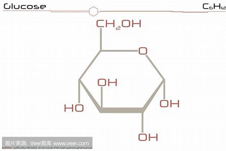 发财树浇什么肥料可枝叶旺盛 养殖盆栽发财树施肥方法