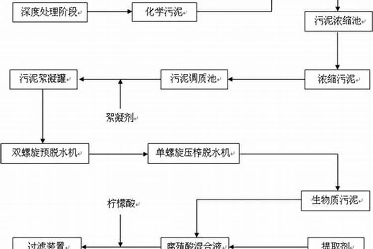 香樟黄化病发生规律