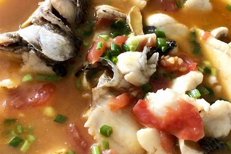 什么是鱼蛋白肥料,鱼蛋白肥料作用及使用方法