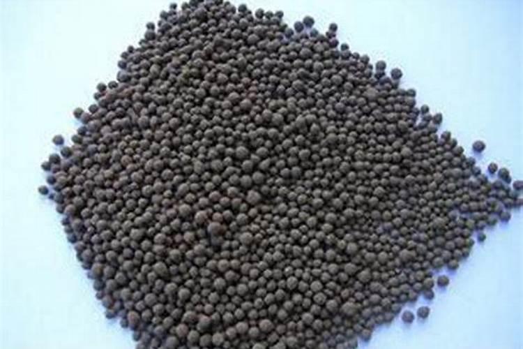 油茶树苗种植方法