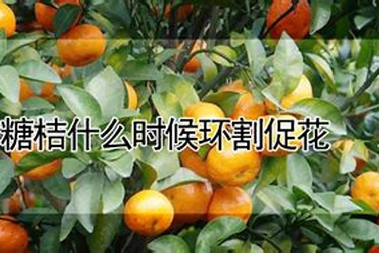 格尔木有哪些大型企业