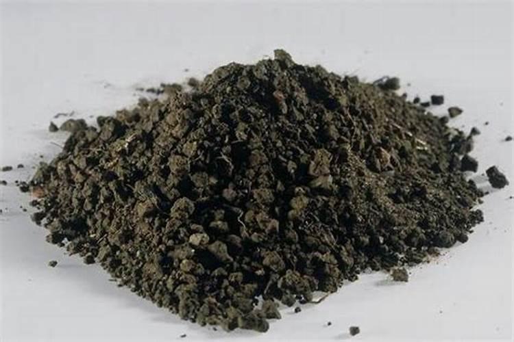 茉莉花的施肥方法