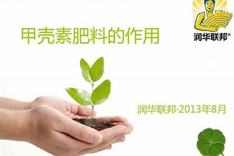 甲壳素叶面喷施的好处