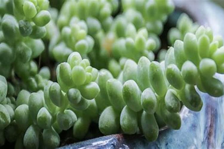 尿素二铵钾肥如何配肥