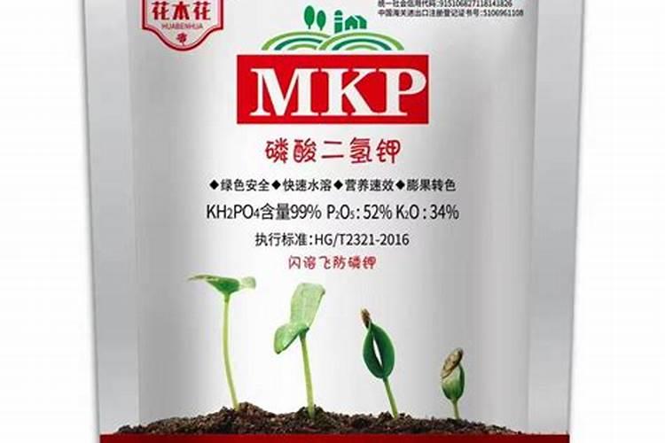 化肥厂属于什么行业