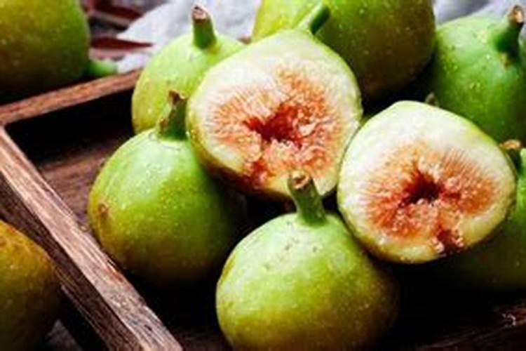 沤肥过程中还能持续加东西吗