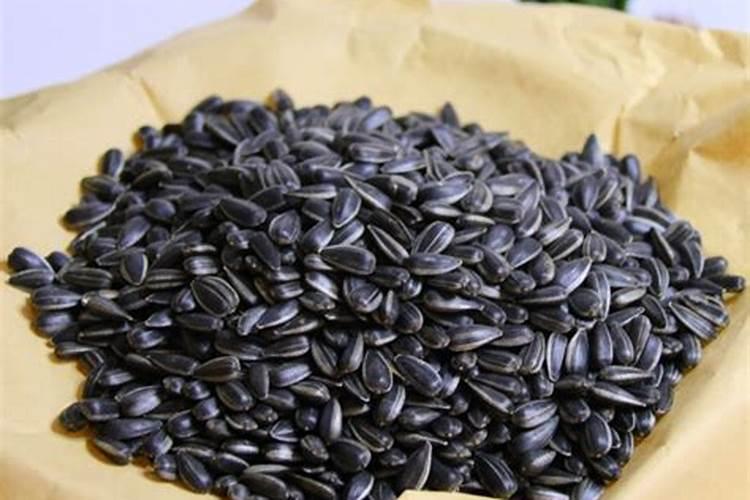 为什么适当增施磷肥对向日葵有明显增产效果？