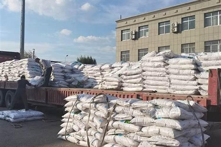 反季节龙眼栽培提高氯酸钾使用效果的措施