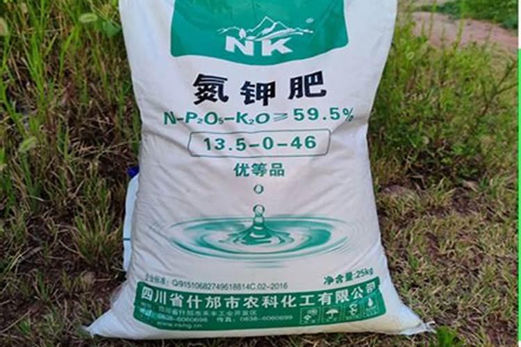 牡丹花施什么肥料最好