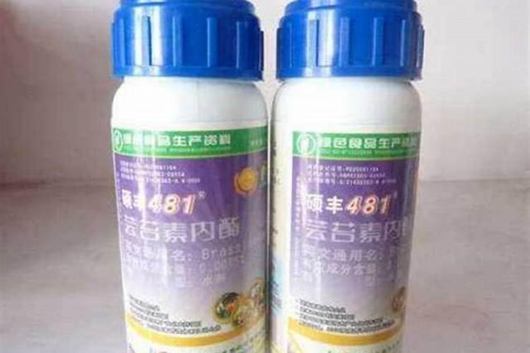 三十烷醇、芸苔素、复硝酚钠、胺鲜酯膨果增产到底有啥异同？