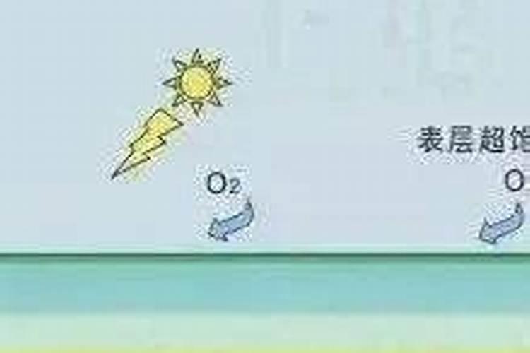 鱼塘里为什么肥水溶氧就会低？